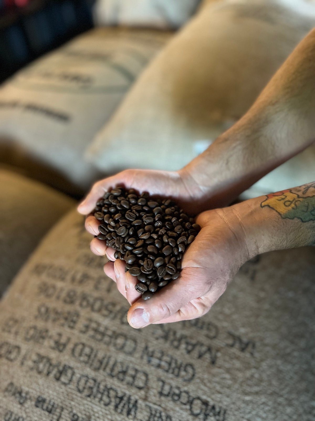 Kurz und knapp - das Kaffee Einmaleins: Was sagen Körper, Säure und Aroma aus? - Privatrösterei Nikan