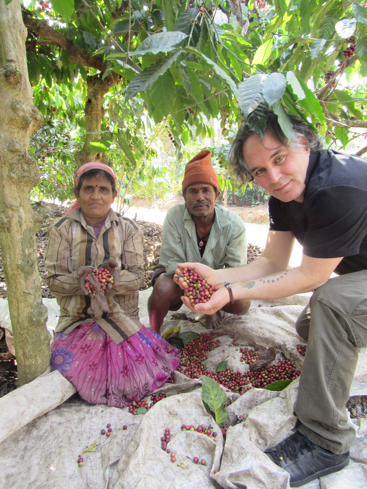 Drei Personen, die rohe Kaffeekirschen in den Händen halten. Weitere Kaffeekirschen.