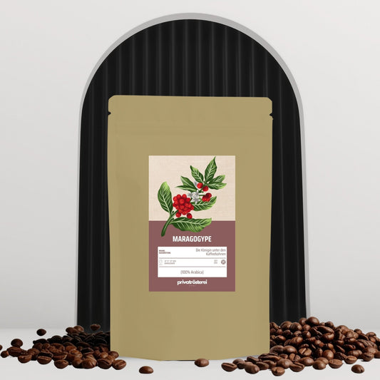 Nicaragua Maragogype - Café Nikan Privatrösterei