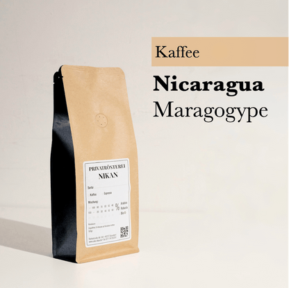 Nicaragua Maragogype