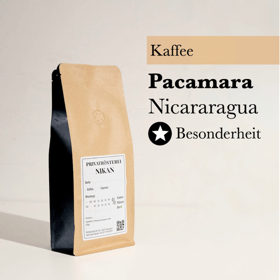 Pacamara Nicaragua Spezialitätenkaffee